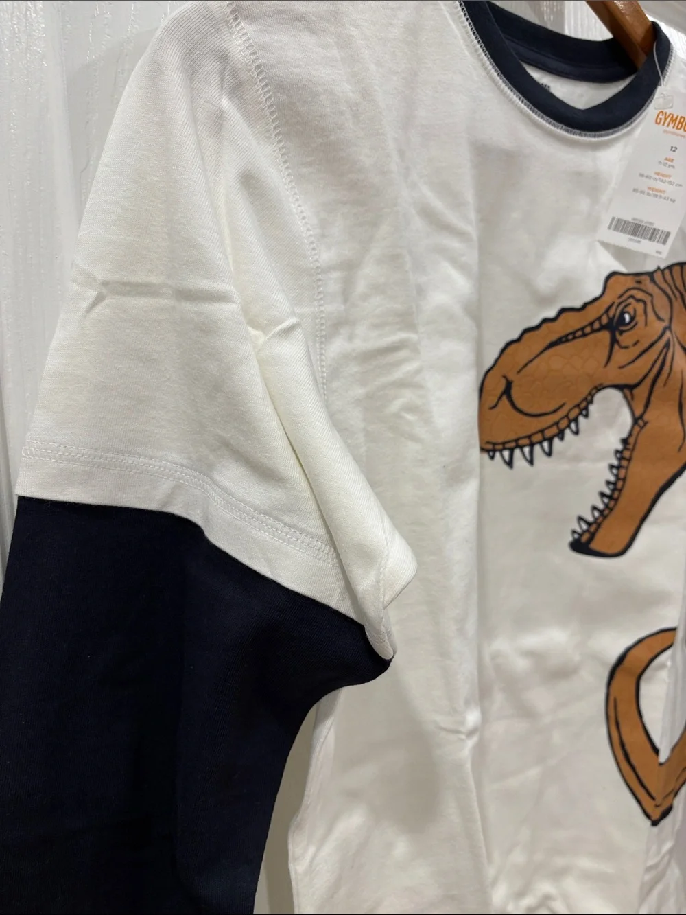 Gymboree White Long Sleeve Tee with Layered Look Sleeves and Dinosaur Graphic
